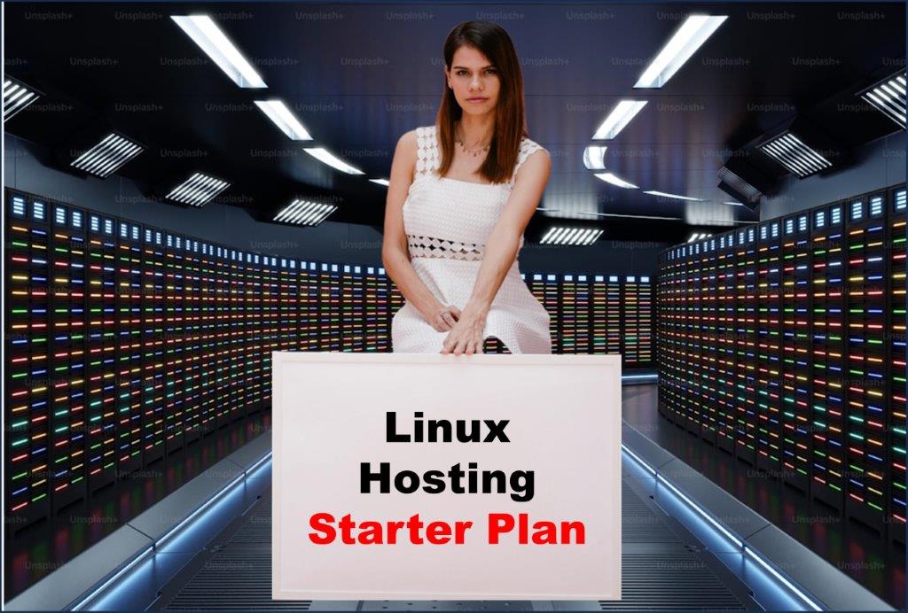 Website Hosting in Helena Montana